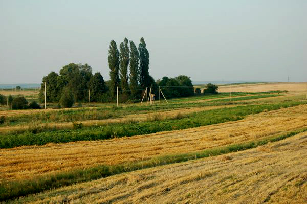 Ukraina